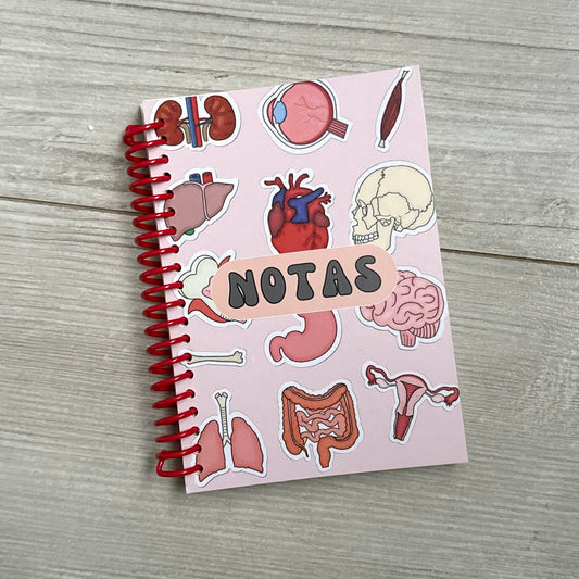 Libreta anatomía